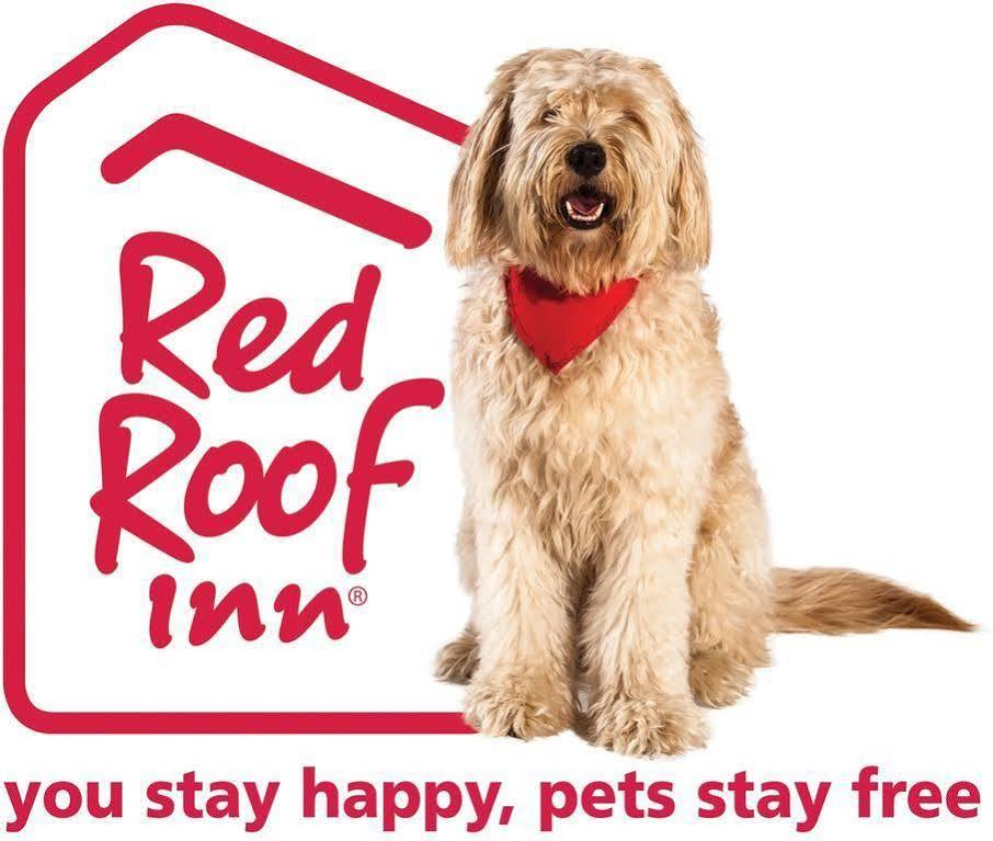 Red Roof Inn Canton Zewnętrze zdjęcie